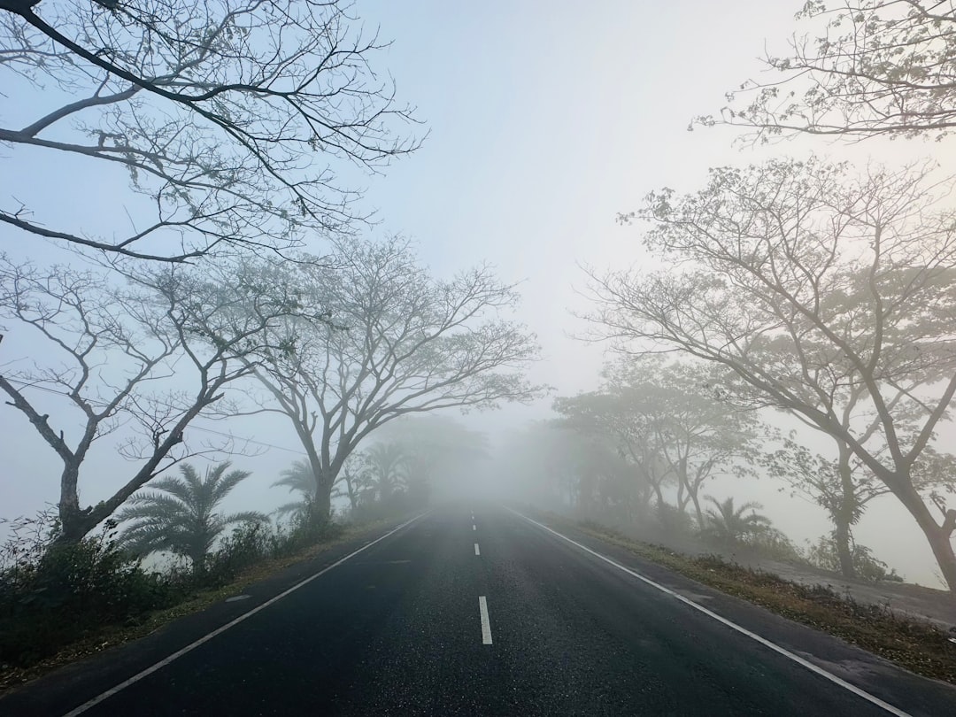 Photo dream interpretation with long journeys