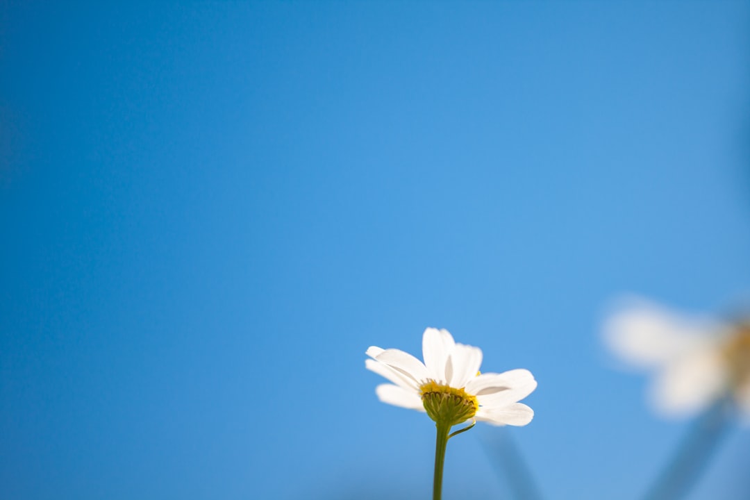 Photo simplicity