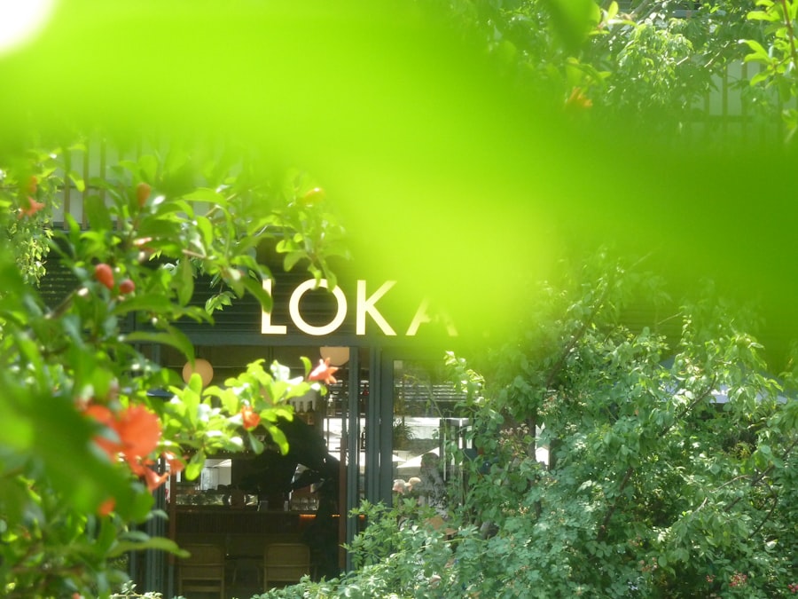 Photo look armonios