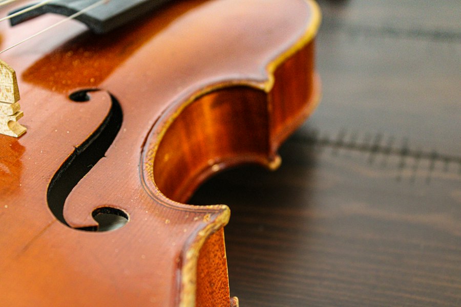 traditional string instruments