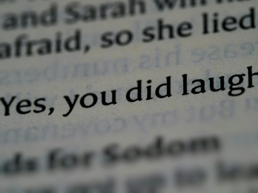 Photo humor and jokes concepts